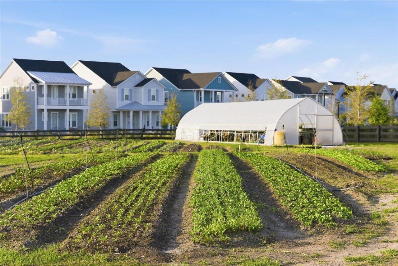 193 Helena Park Drive Photo 50