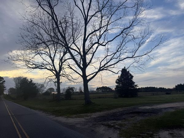 1716 Hub Presley Road, Laurel Hill, FL 32567