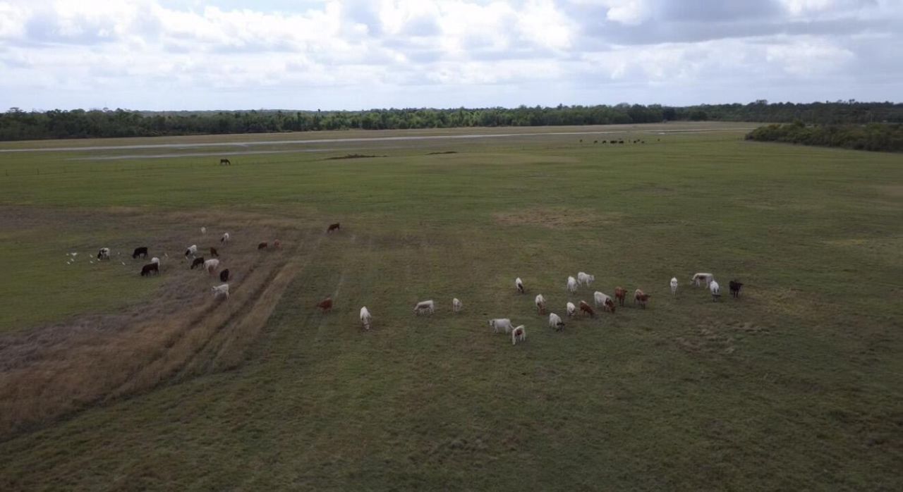 33700 Hwy 441, Okeechobee, FL 34972 Photo