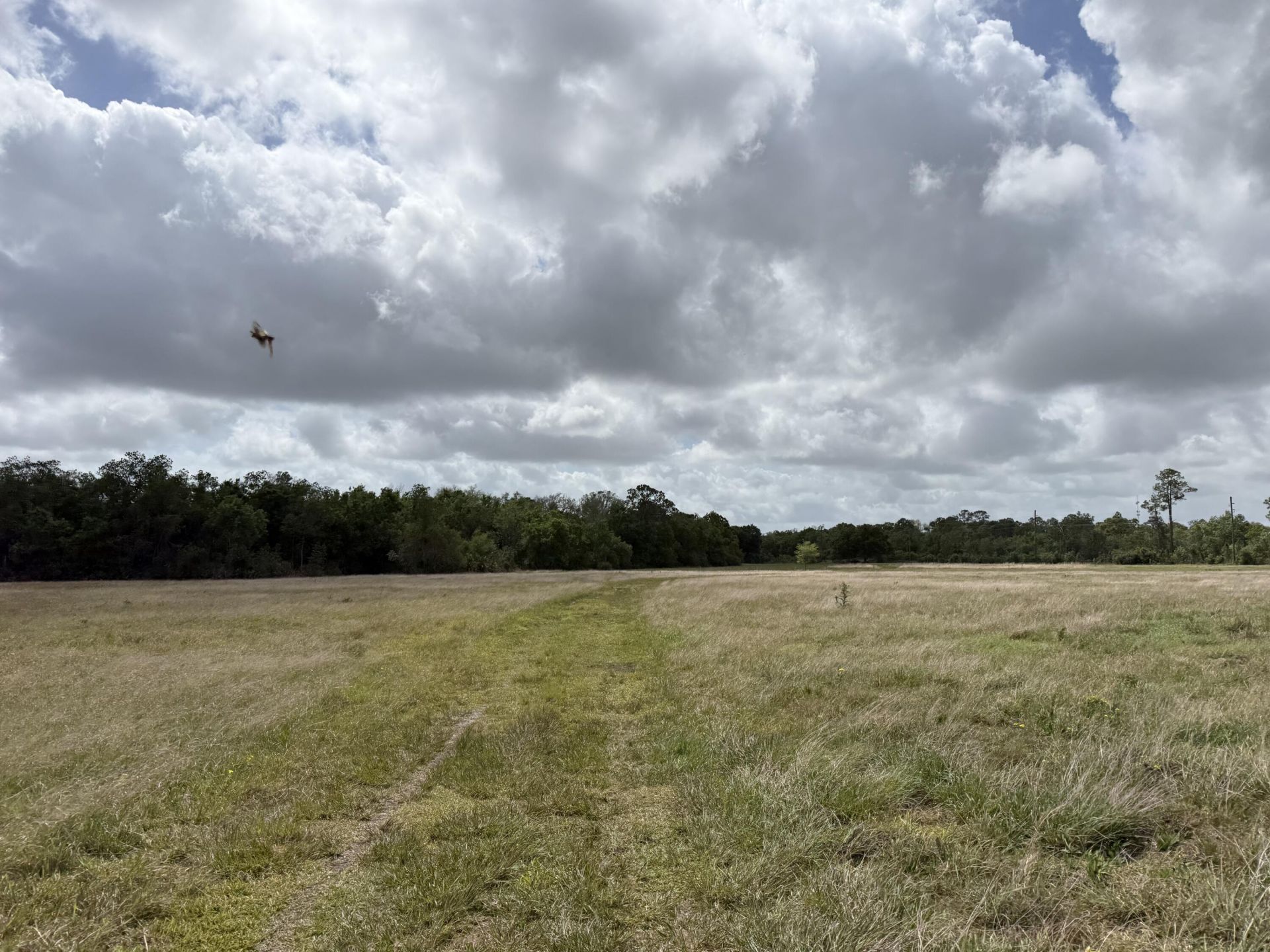 33700 Hwy 441, Okeechobee, FL 34972 Photo