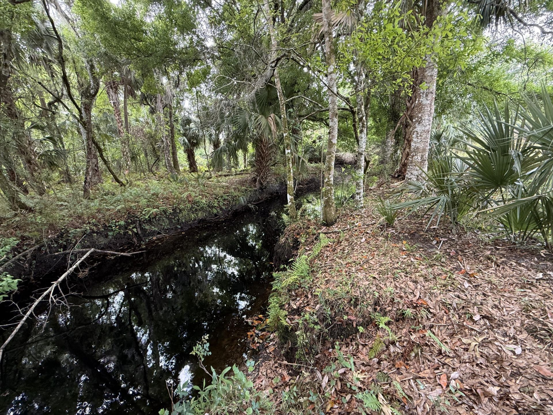 33700 Hwy 441, Okeechobee, FL 34972 Photo