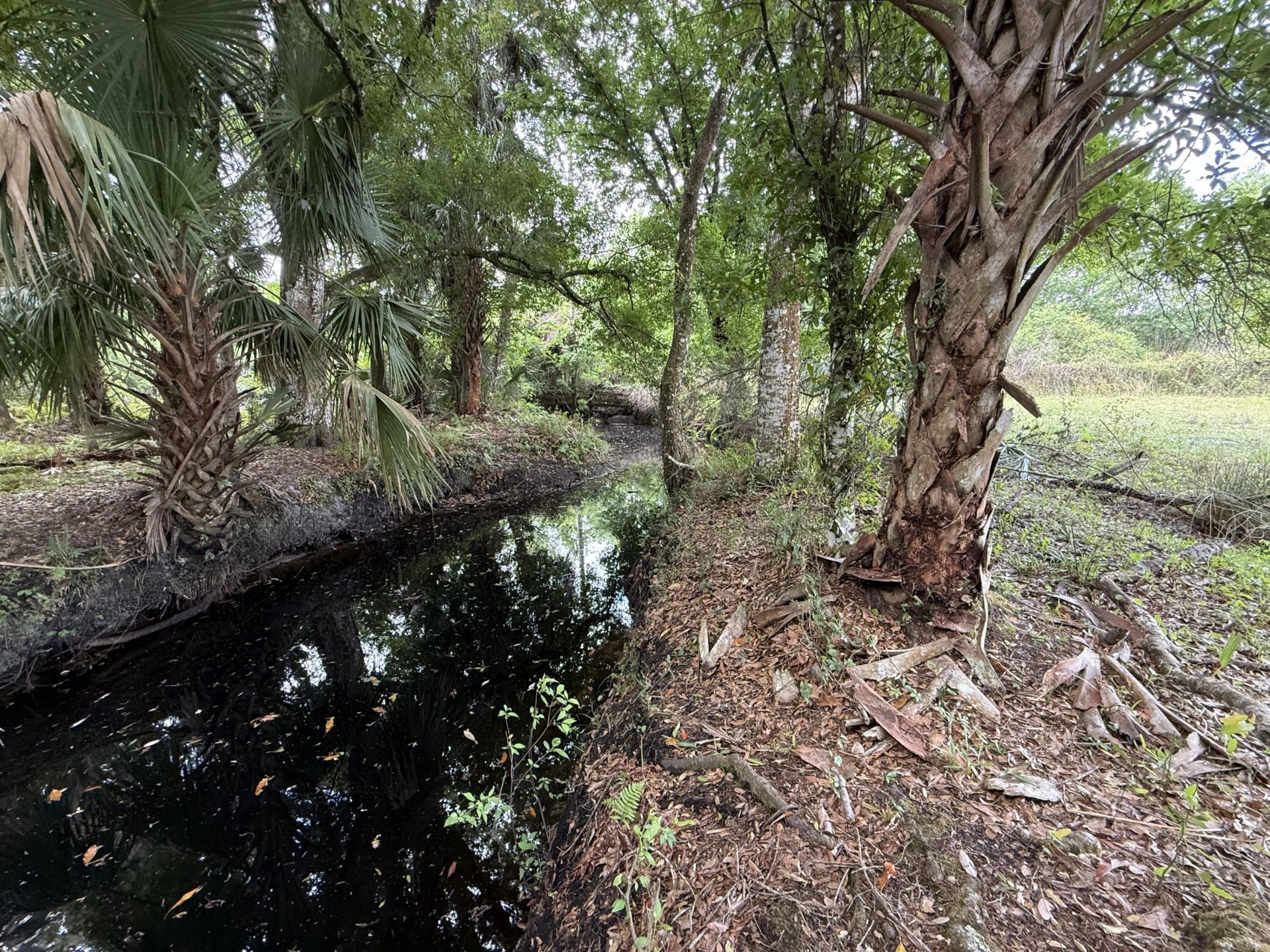 33700 Hwy 441, Okeechobee, FL 34972 Photo