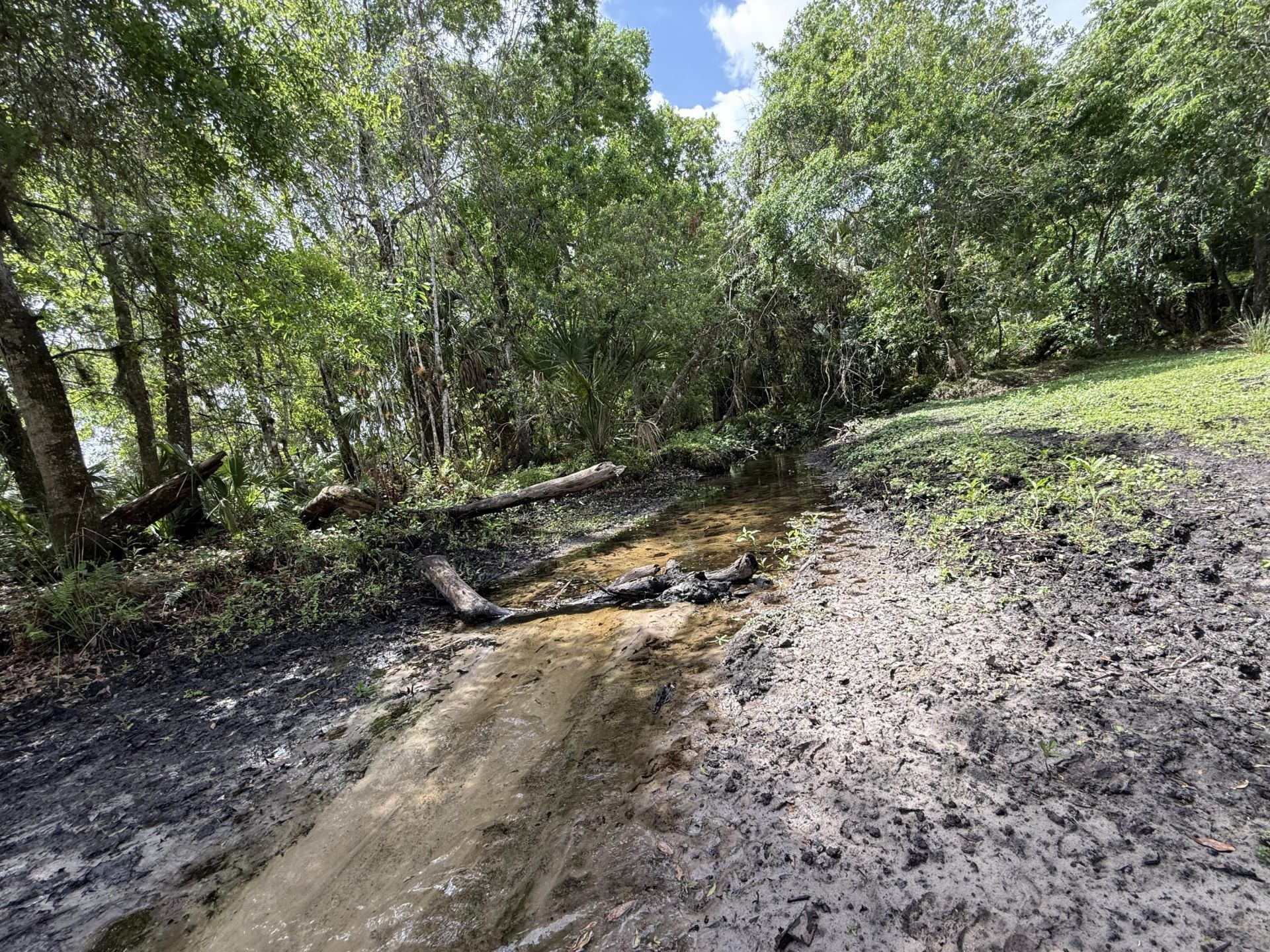 33700 Hwy 441, Okeechobee, FL 34972 Photo