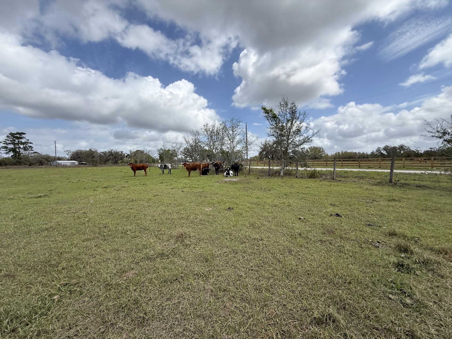 33700 Hwy 441, Okeechobee, FL 34972 Photo