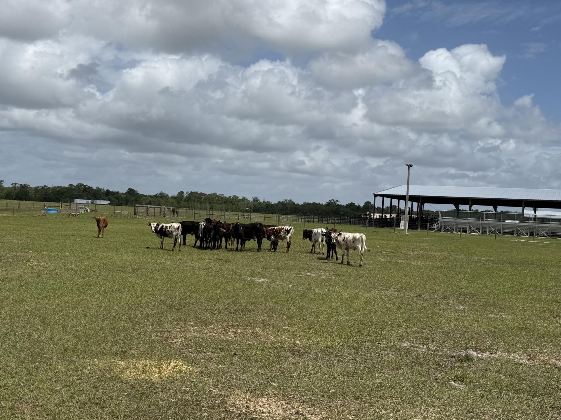 33700 Hwy 441, Okeechobee, FL 34972 Photo