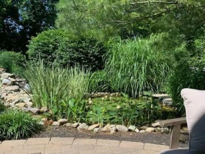 5504 Old Pond Drive, Dublin, OH 43017 Photo 3