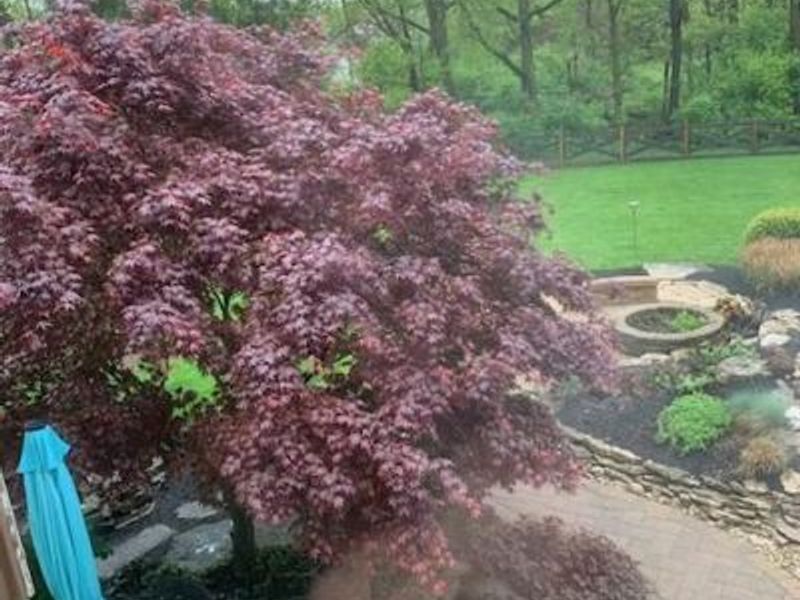 5504 Old Pond Drive, Dublin, OH 43017 Photo 7