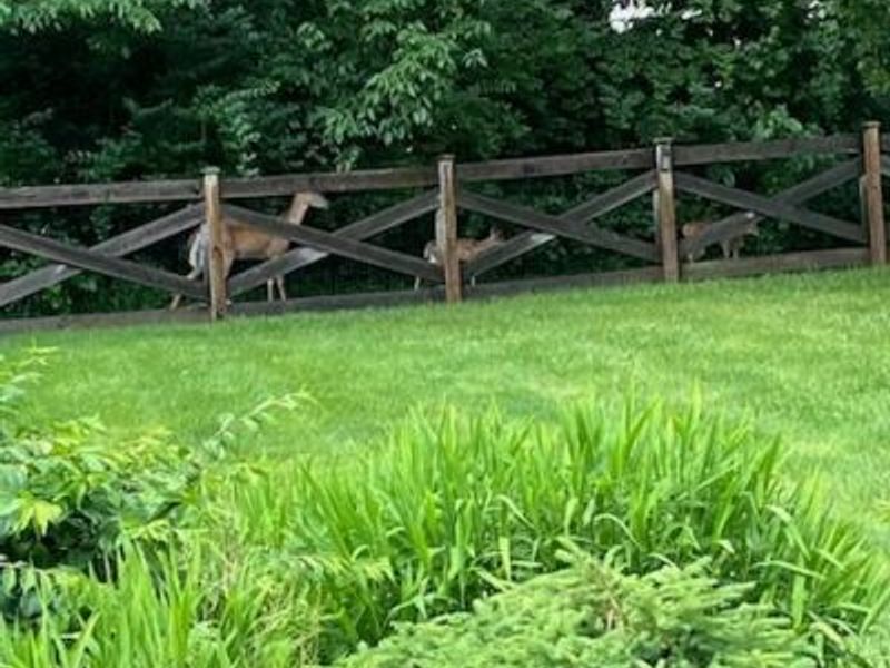 5504 Old Pond Drive, Dublin, OH 43017 Photo 9