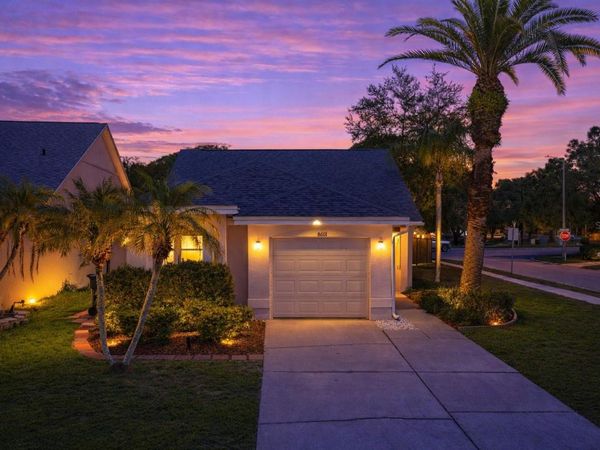 8601 COTTONWAY LANE , TAMPA, FL 33635