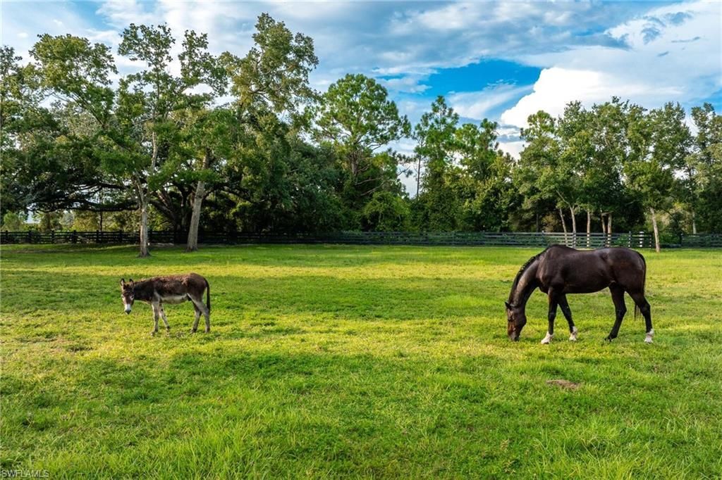 17701 Pronghorn St, Alva, FL 33920 Photo