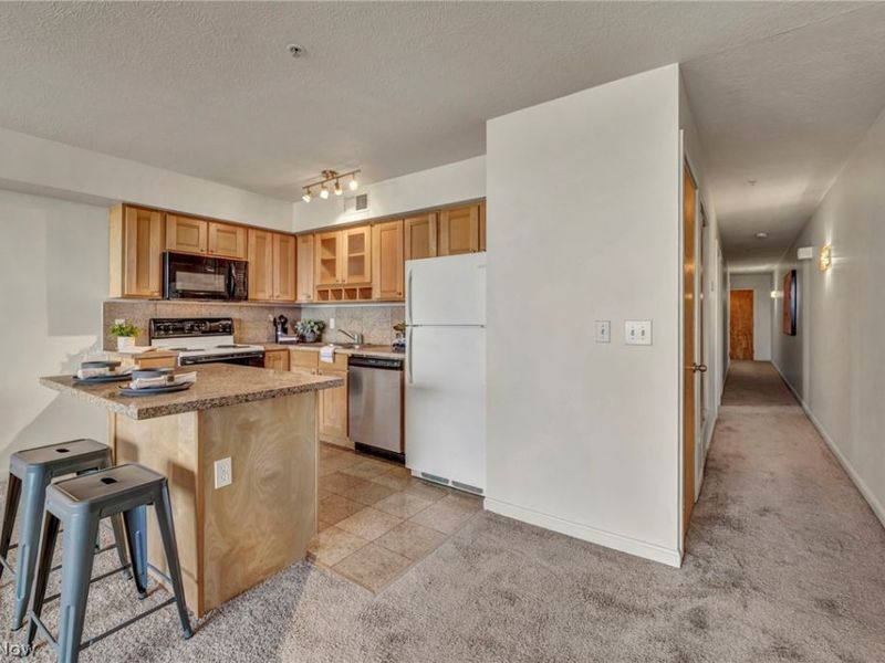 2222 Detroit Avenue, Unit 603, Cleveland, OH 44113 Photo 11