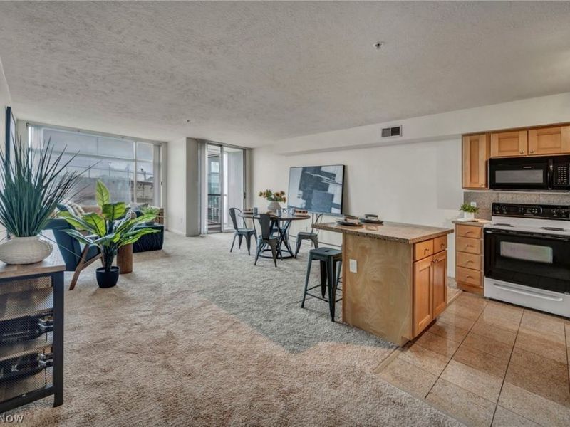 2222 Detroit Avenue, Unit 603, Cleveland, OH 44113 Photo 3