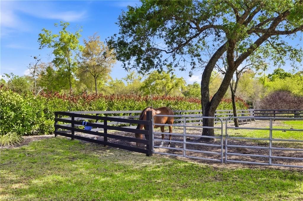 17700 Pronghorn St , Alva, FL 33920 Photo