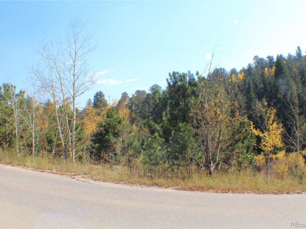 2012 Shelton Drive, Bailey, CO 80421