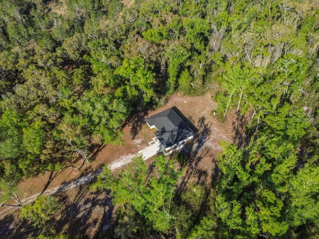 957 NE 354th Avenue, Old Town, FL 32680 Photo