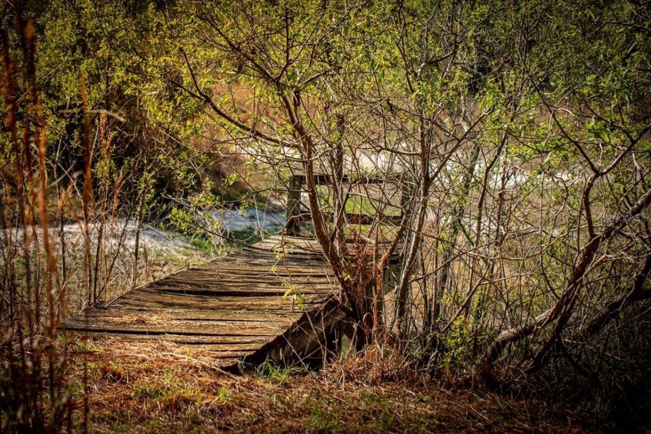 957 NE 354th Avenue, Old Town, FL 32680 Photo