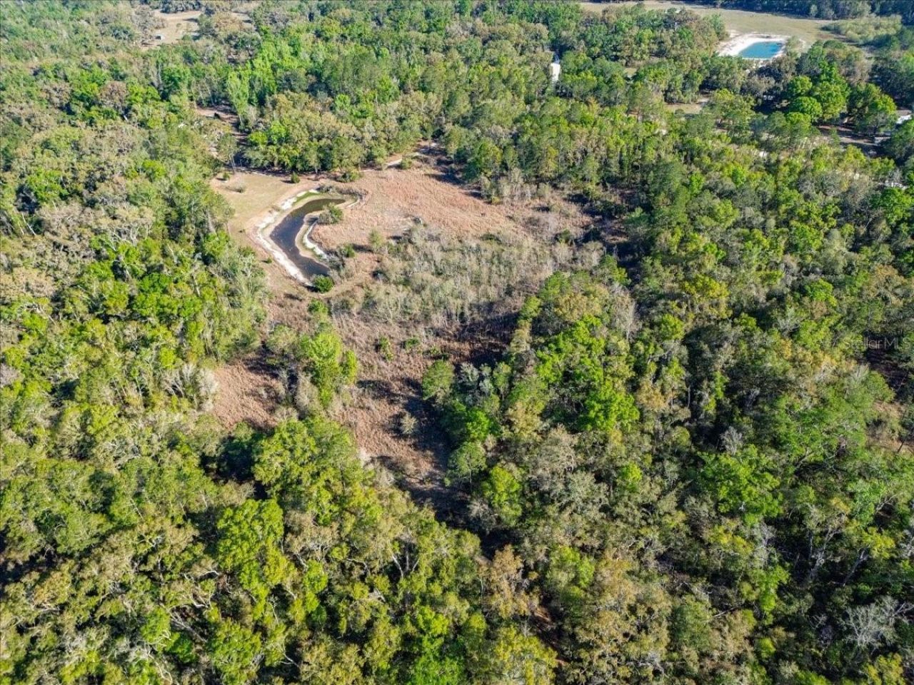 957 NE 354th Avenue, Old Town, FL 32680 Photo