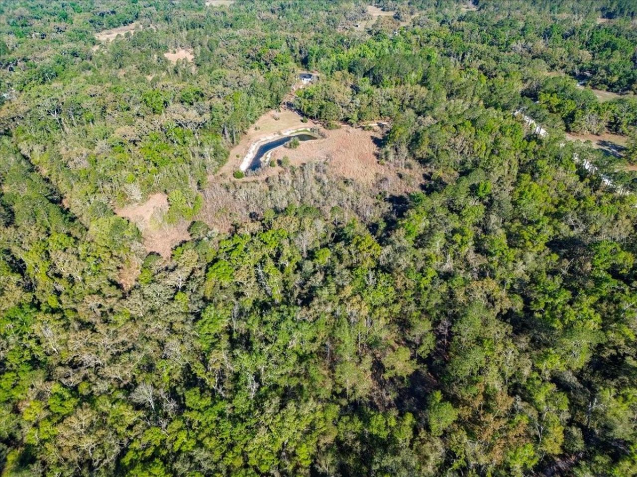 957 NE 354th Avenue, Old Town, FL 32680 Photo