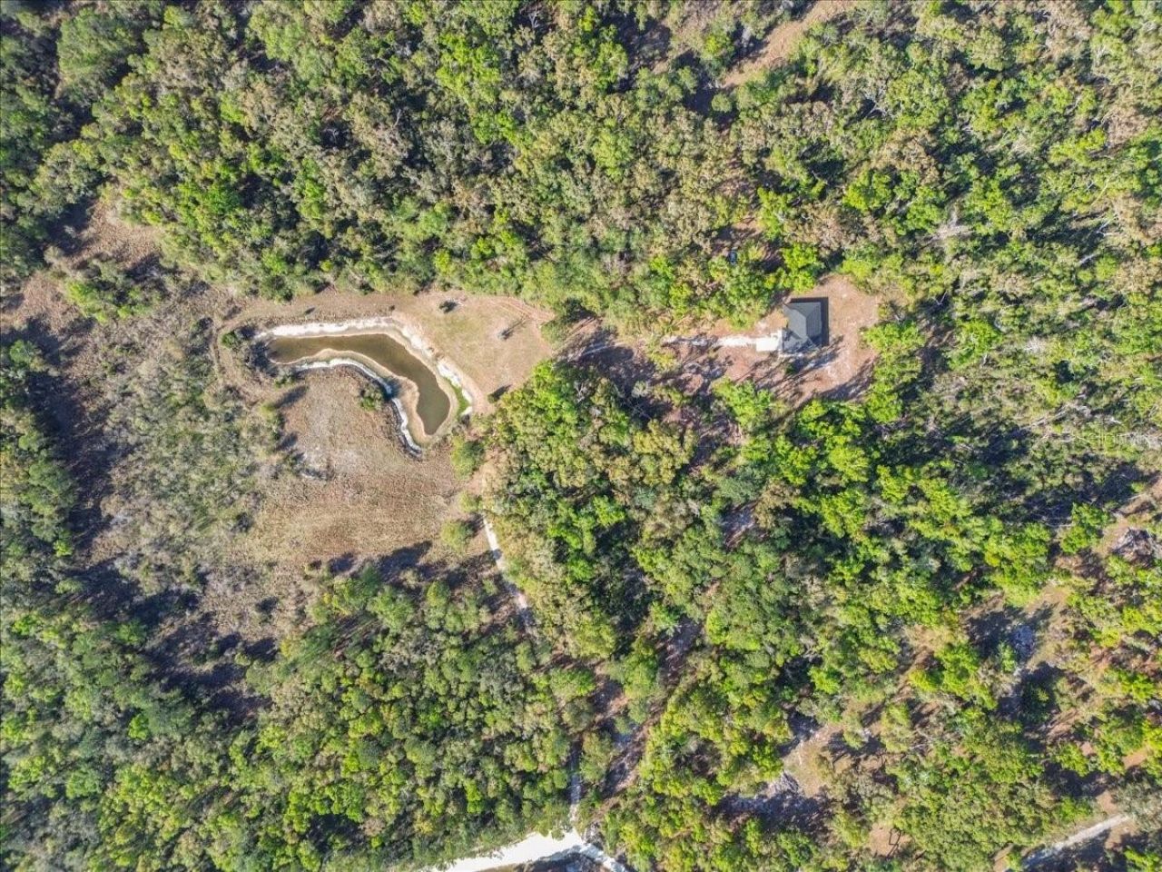 957 NE 354th Avenue, Old Town, FL 32680 Photo