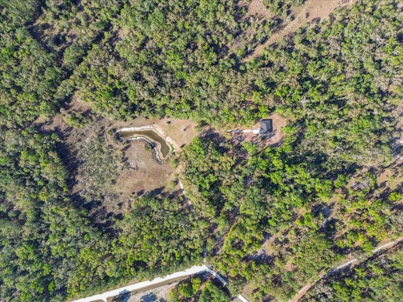 957 NE 354th Avenue, Old Town, FL 32680 Photo