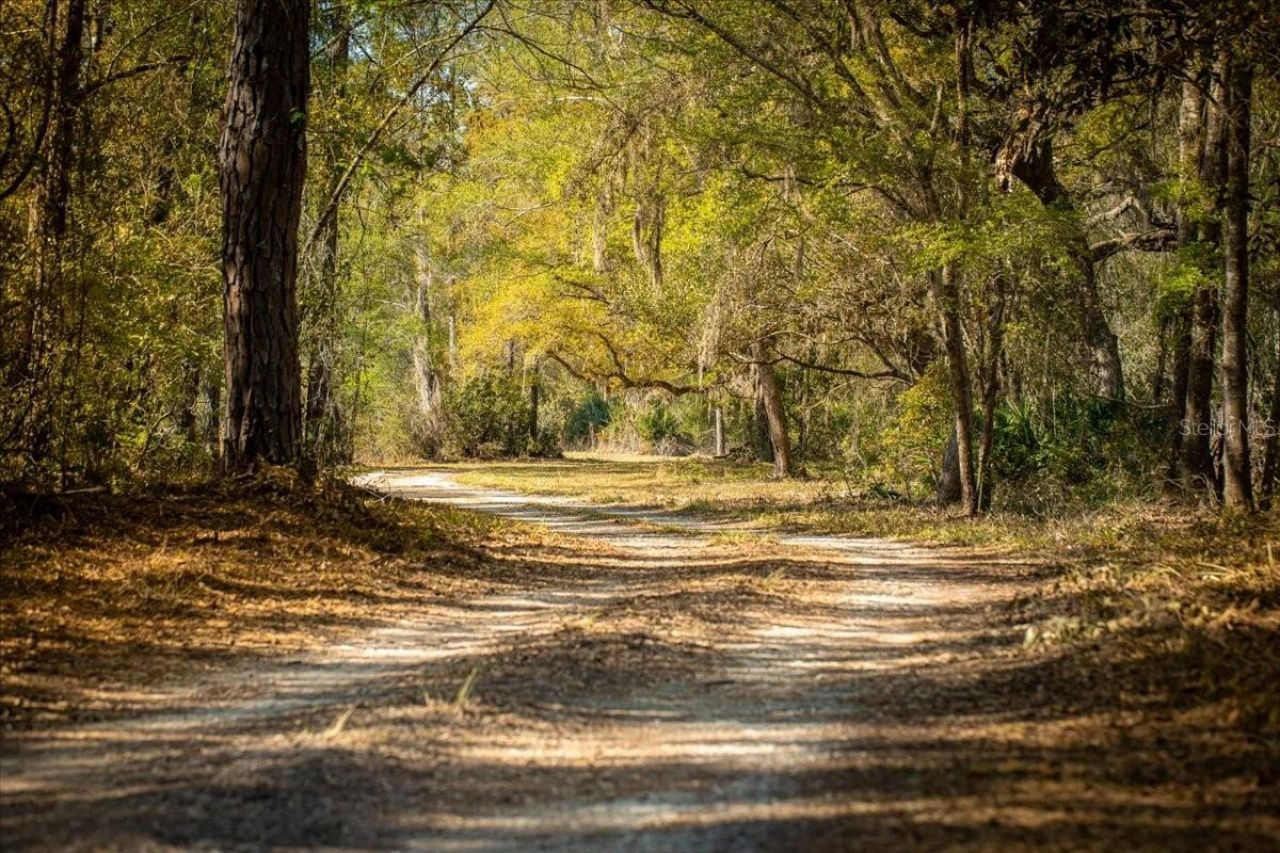 957 NE 354th Avenue, Old Town, FL 32680 Photo