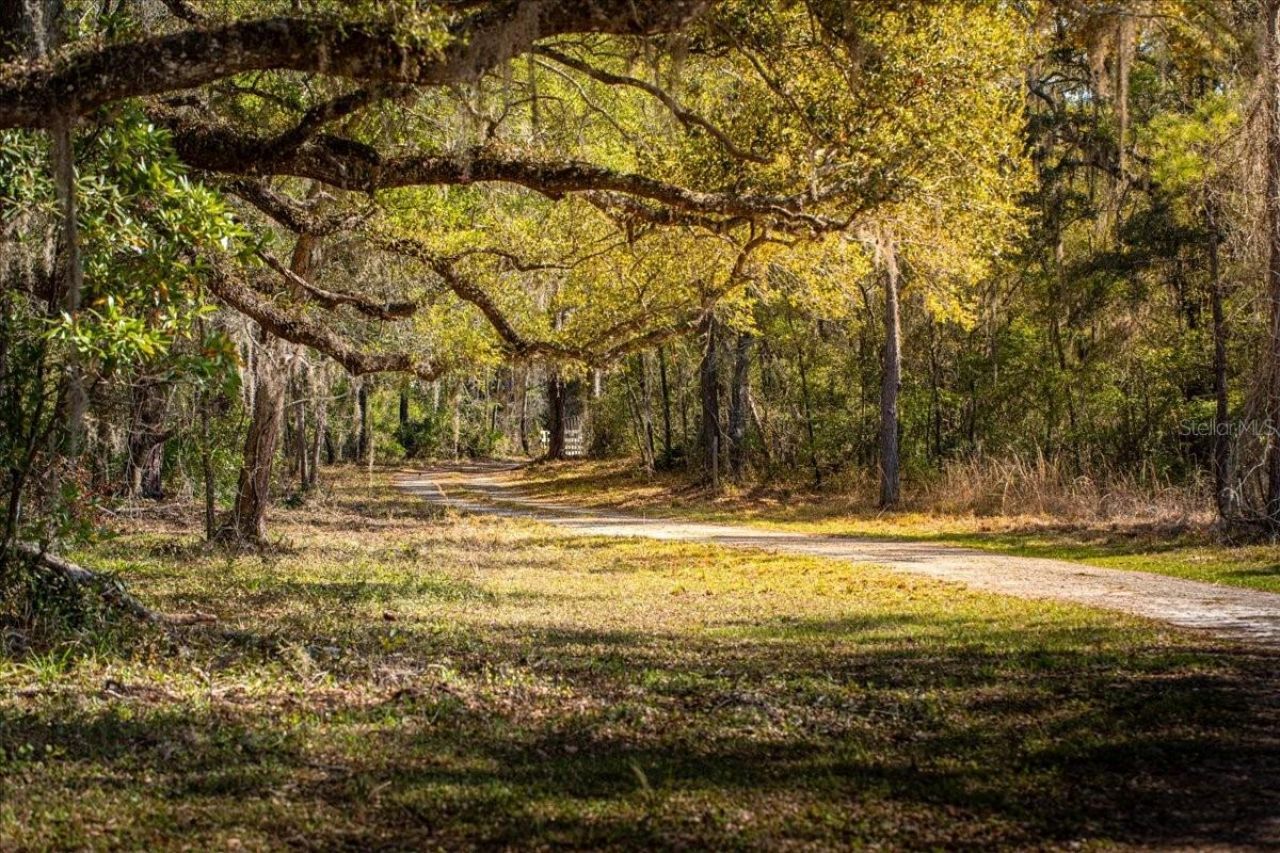 957 NE 354th Avenue, Old Town, FL 32680 Photo