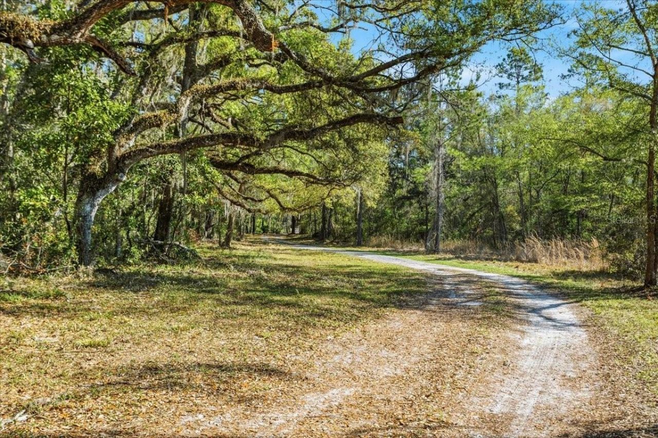 957 NE 354th Avenue, Old Town, FL 32680 Photo