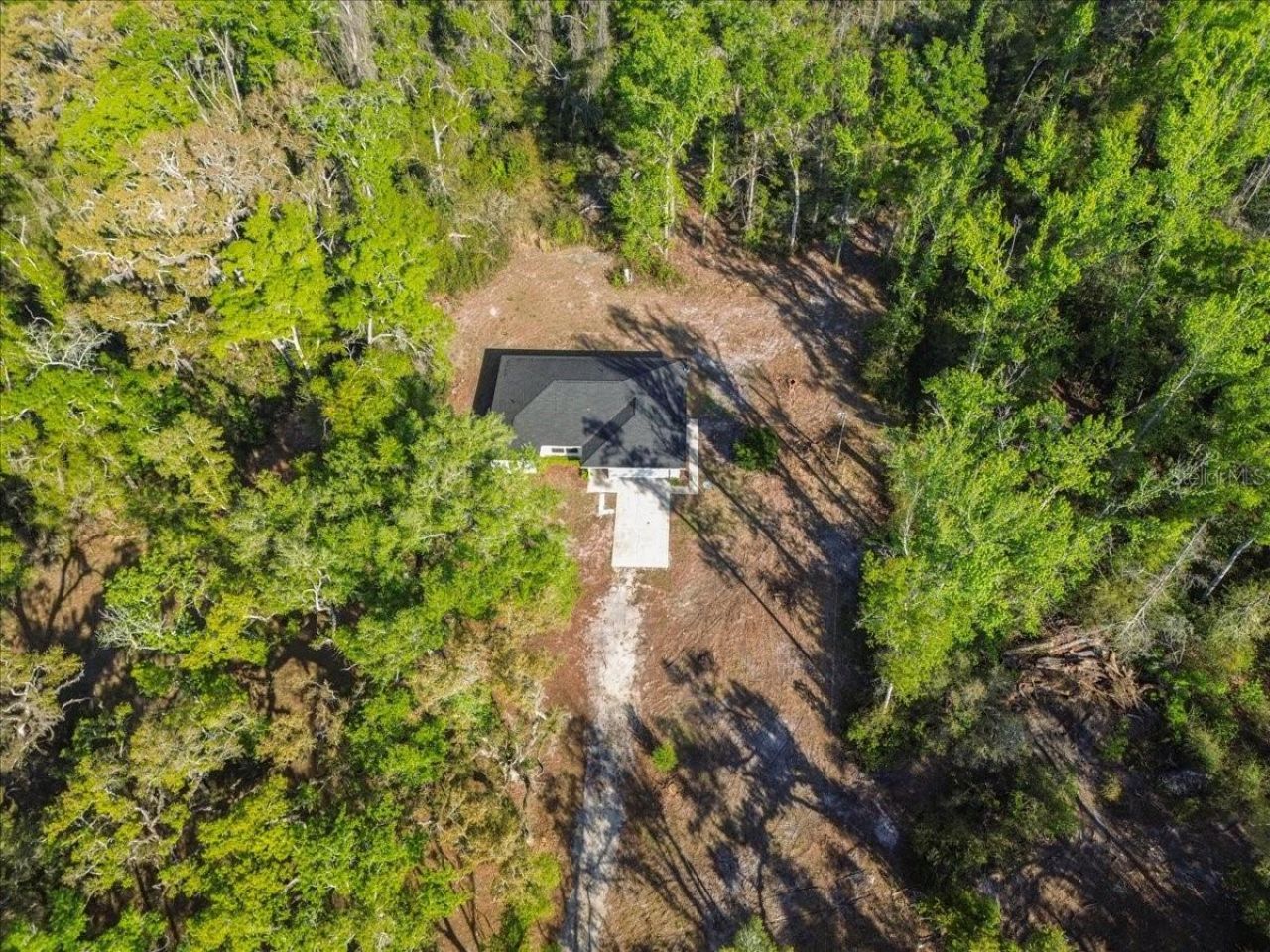 957 NE 354th Avenue, Old Town, FL 32680 Photo