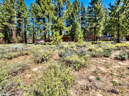 1310 Susie Lake Road, South Lake Tahoe, CA 96150 Photo