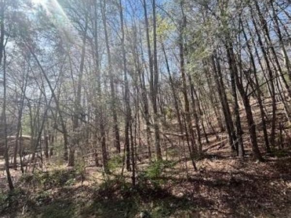 51 Fairway Drive , Lake Lure, NC 28746