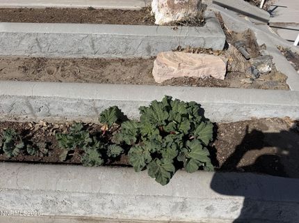 100 Larson Boulevard, Round Mountain, NV 89045 Photo