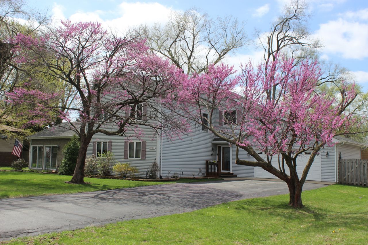 13528 LAVERGNE Avenue, Crestwood, IL 60418