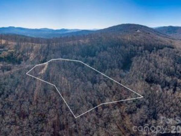 96 Castanea Mountain Drive , Asheville, NC 28803