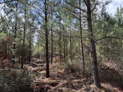 11 Red Oak Road, Cottageville, SC 29435