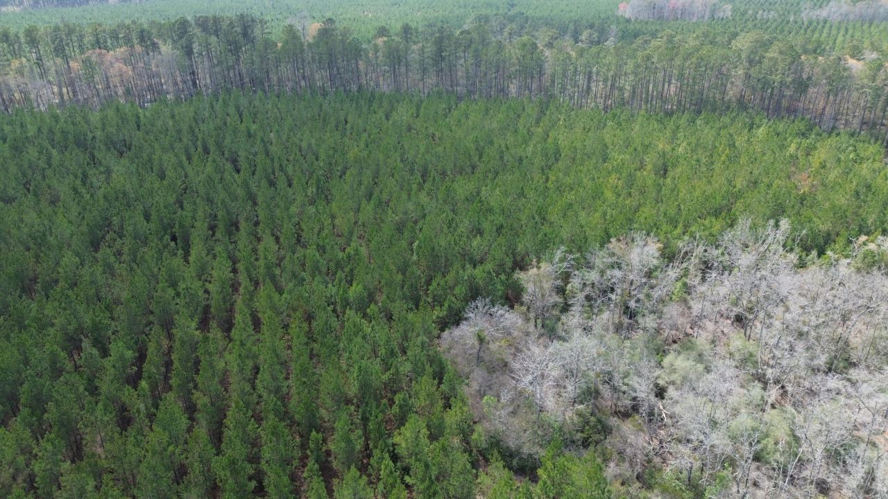 11 Red Oak Road Photo 10