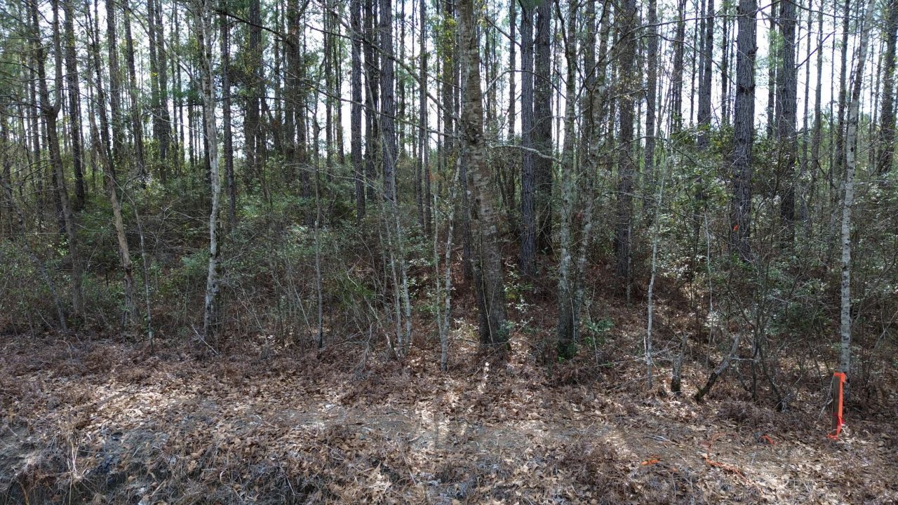 11 Red Oak Road Photo 11