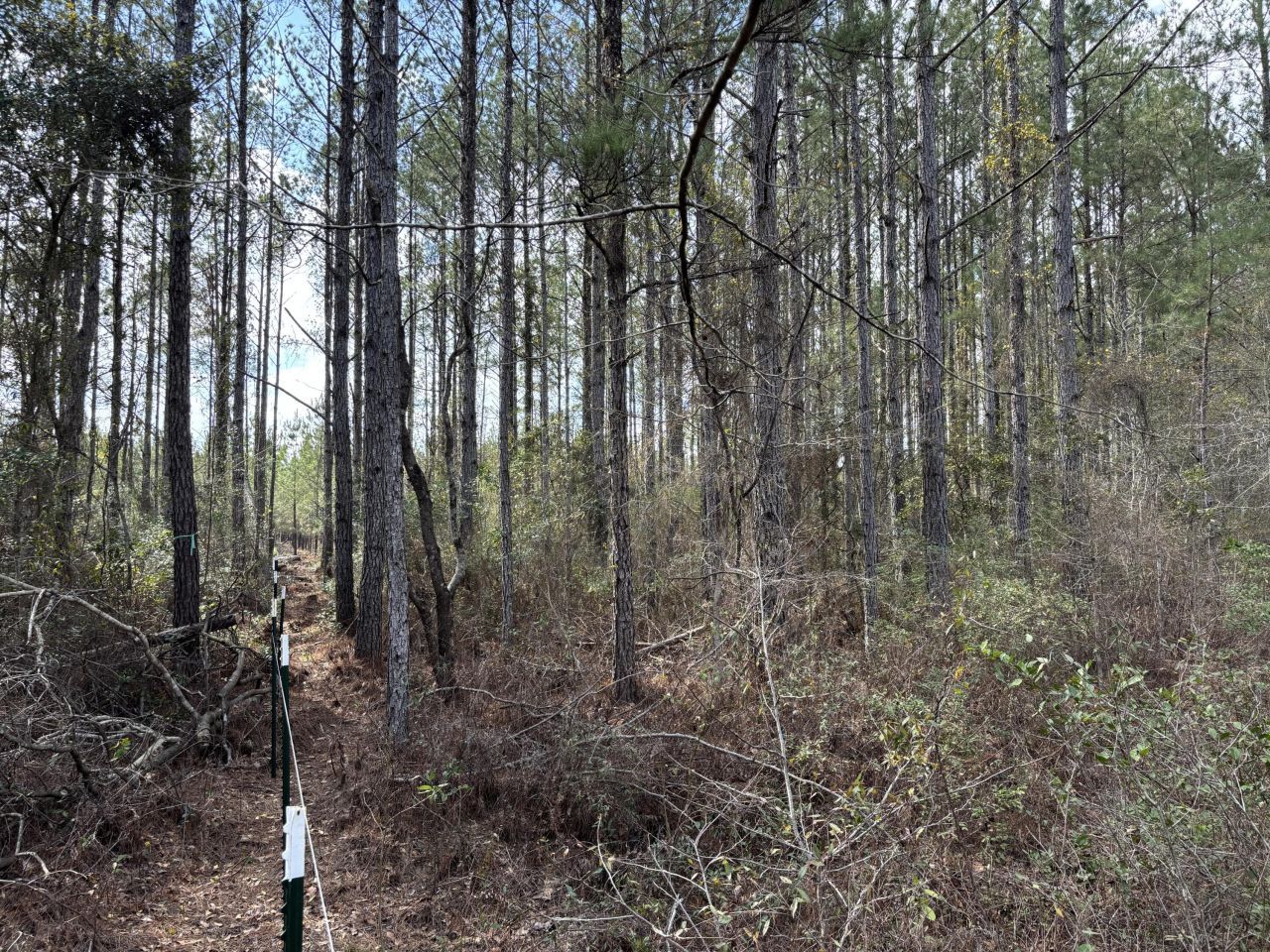 11 Red Oak Road Photo 4