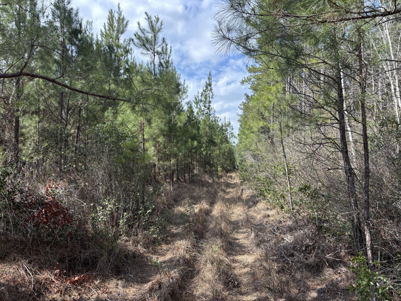 11 Red Oak Road Photo 6