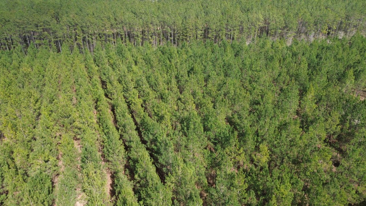 11 Red Oak Road Photo 7