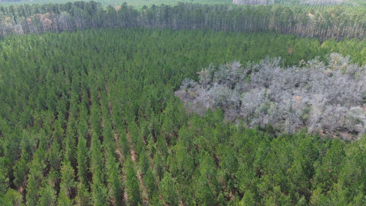 11 Red Oak Road Photo 8