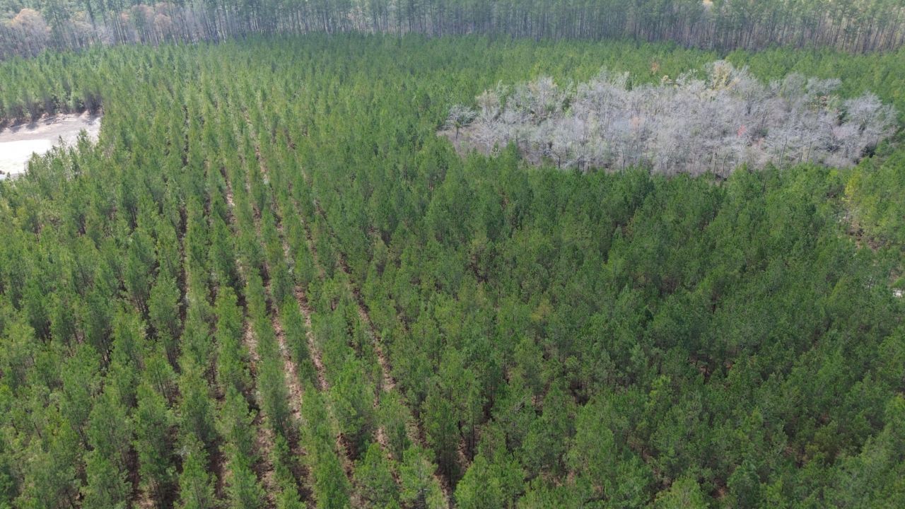 11 Red Oak Road Photo 9