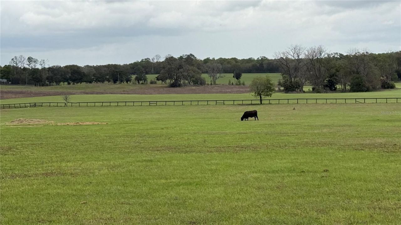 2700 SW 210th Avenue, Dunnellon, FL 34431 Photo