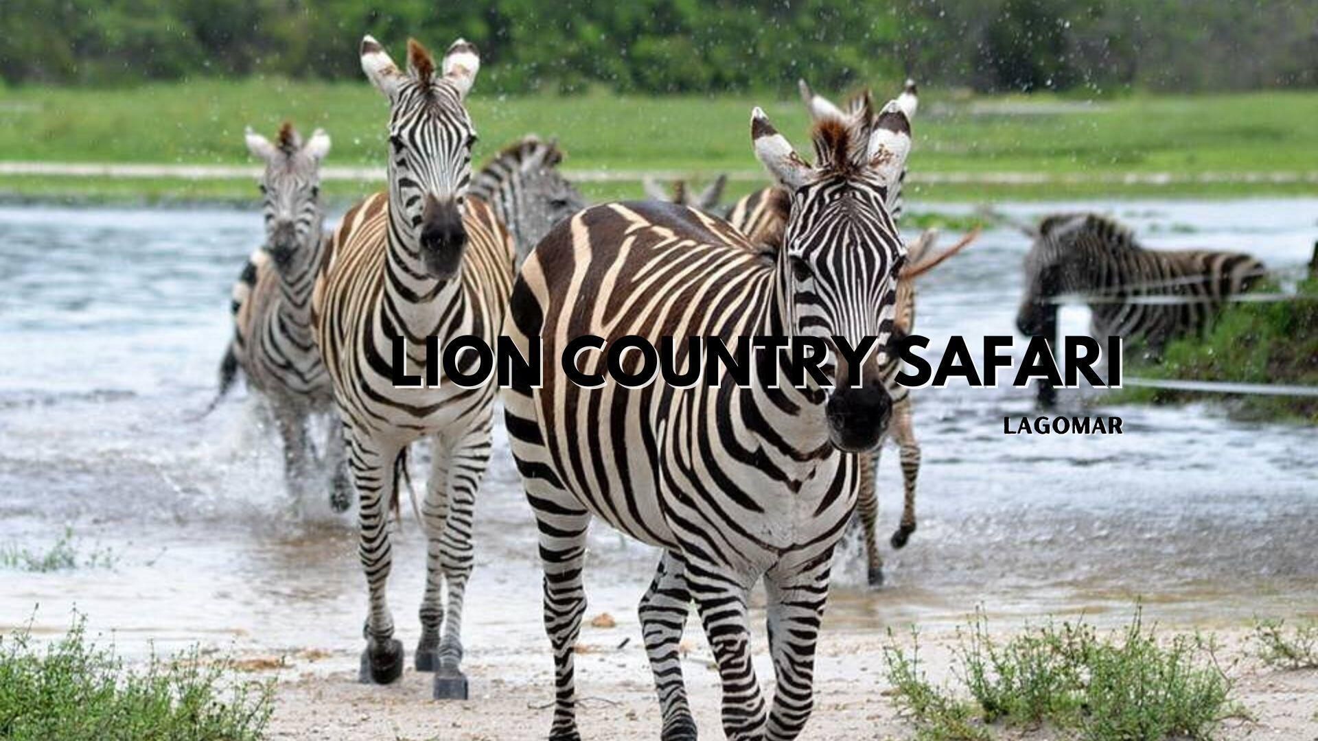 5187 2nd Road, Lake Worth, FL 33467 Photo