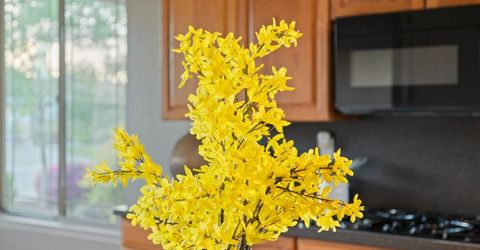 209 Calistoga Lane, Lincoln, CA 95648 Photo