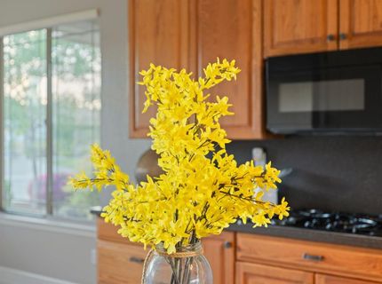 209 Calistoga Lane, Lincoln, CA 95648 Photo