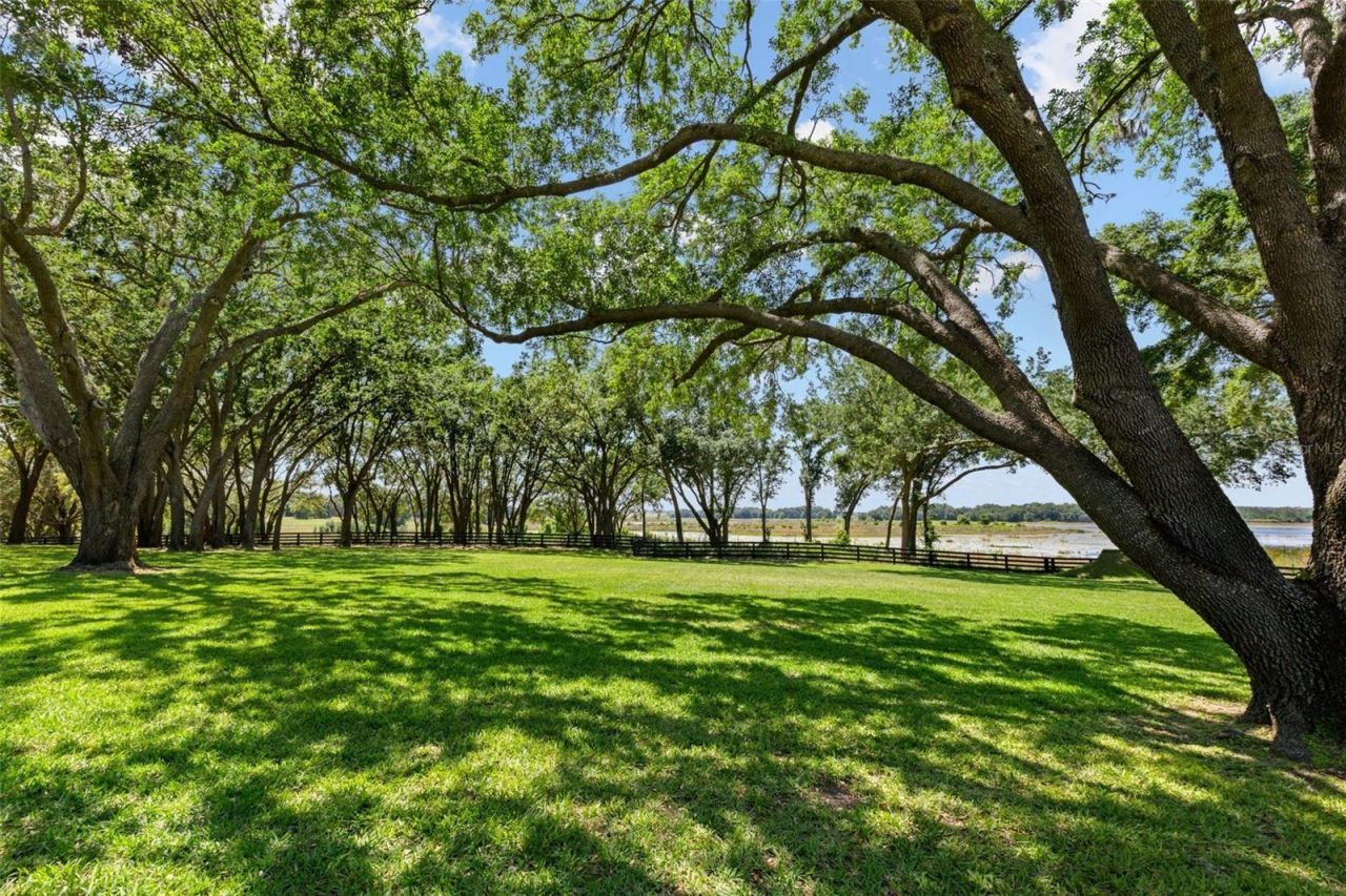 9751 Quiet Lane, Winter Garden, FL 34787 Photo