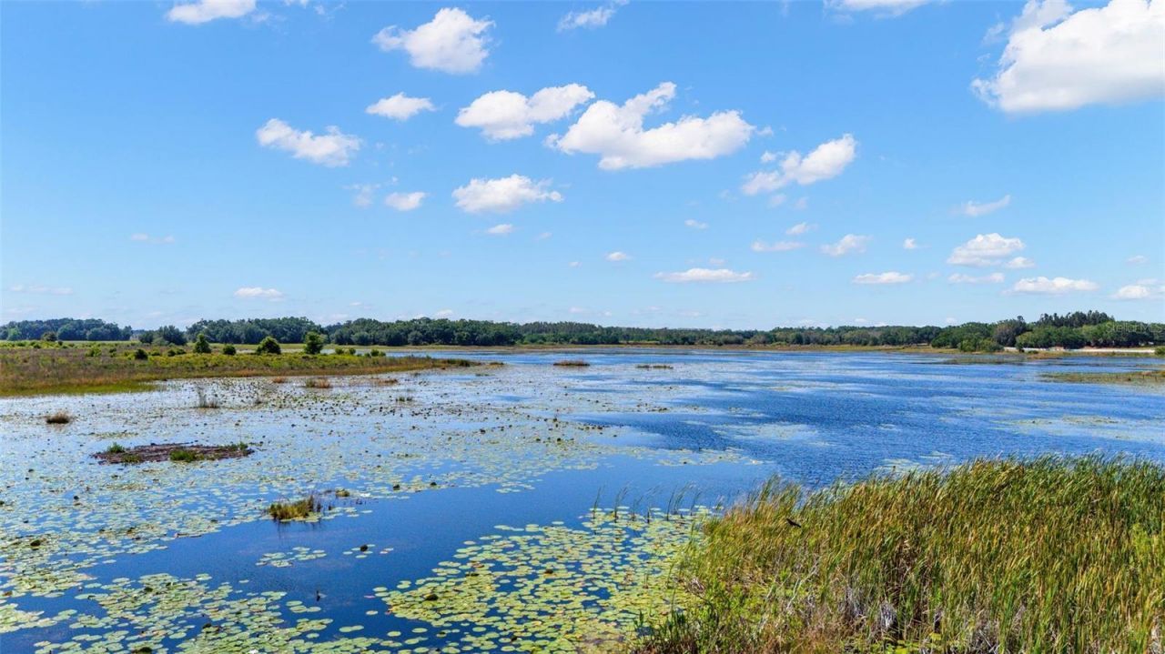 9751 Quiet Lane, Winter Garden, FL 34787 Photo