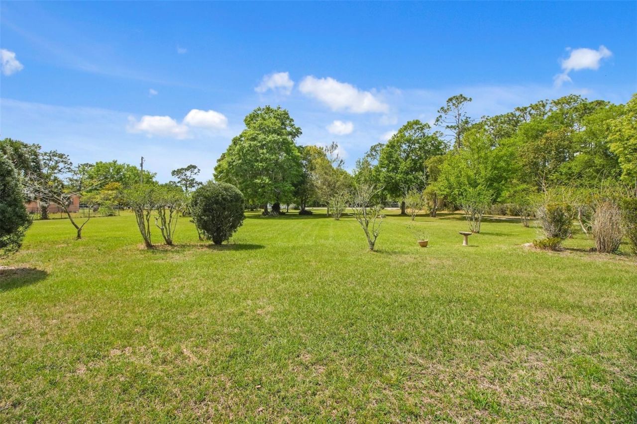 2205 & 2211 Lake Pickett Road, Orlando, FL 32826 Photo