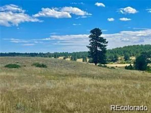 11726 CR 102 , Elbert, CO 80116