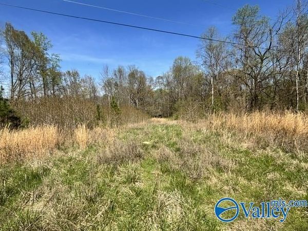 19 acres County Road 148, Stevenson, AL 35772